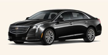 Luxury Sedan - Fleet